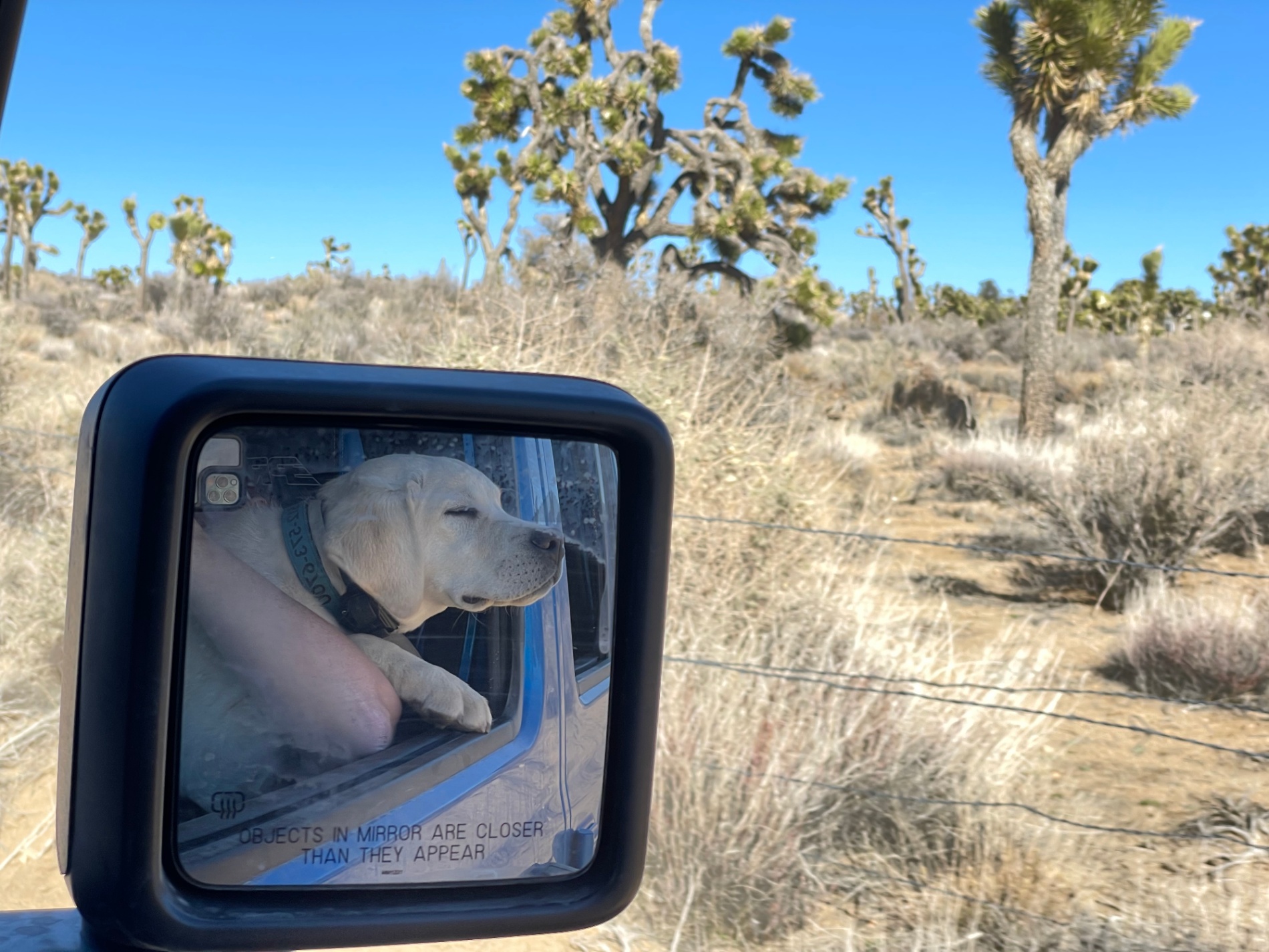 Johnson Valley - Hammer Town