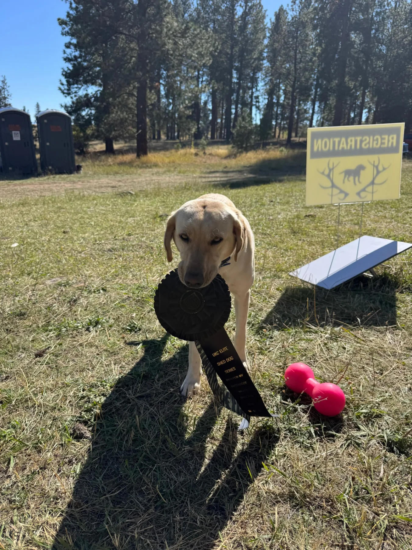 Bitterroot Valley Shed Dog Trial Camping