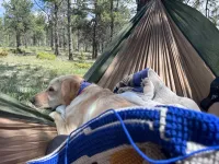 Trip photo