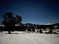 Trip photo