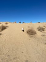 Trip photo