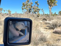 Trip photo