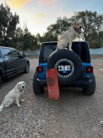 Trip photo