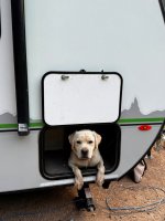 Trip photo