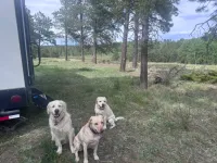 Trip photo