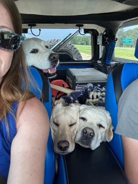 Trip photo