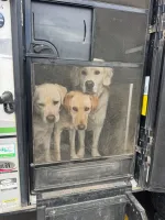 Trip photo