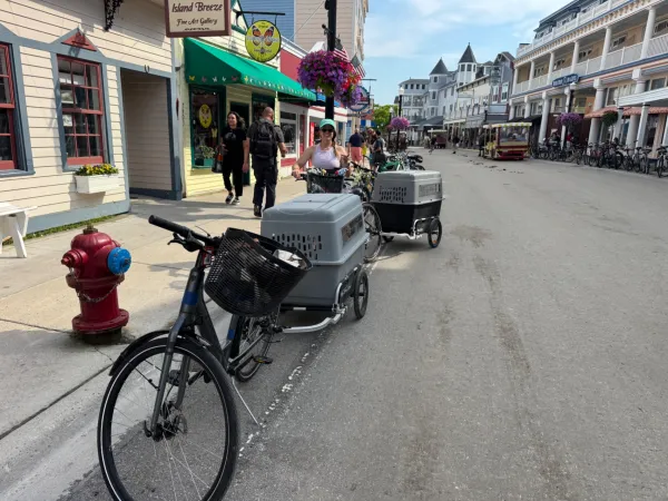 Trip photo