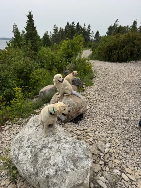 Trip photo